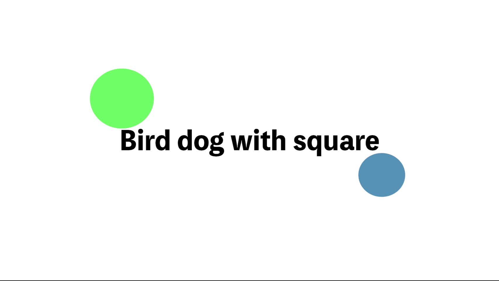 27．Bird dog with square