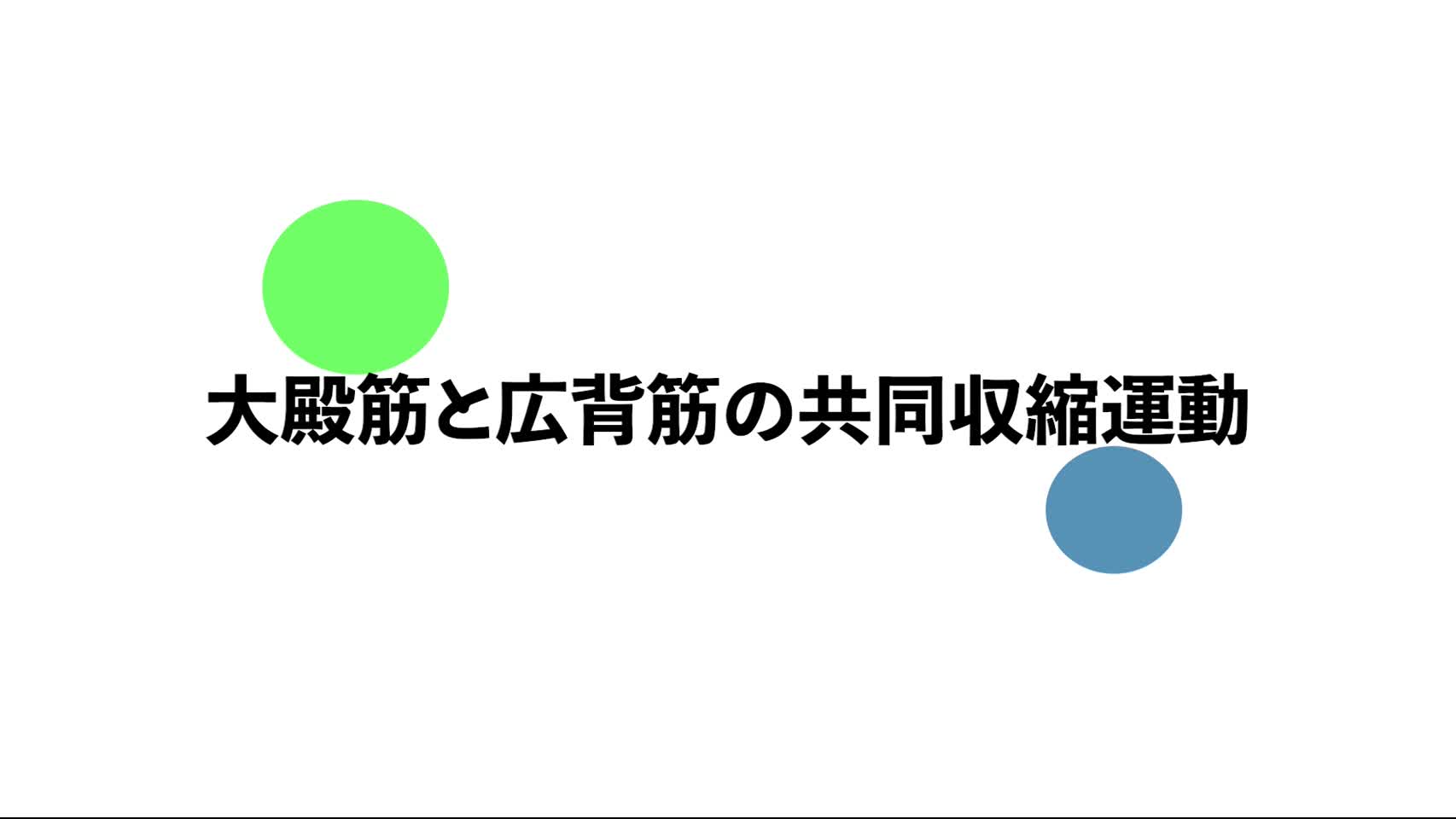 28．大殿筋と広背筋の共同収縮運動